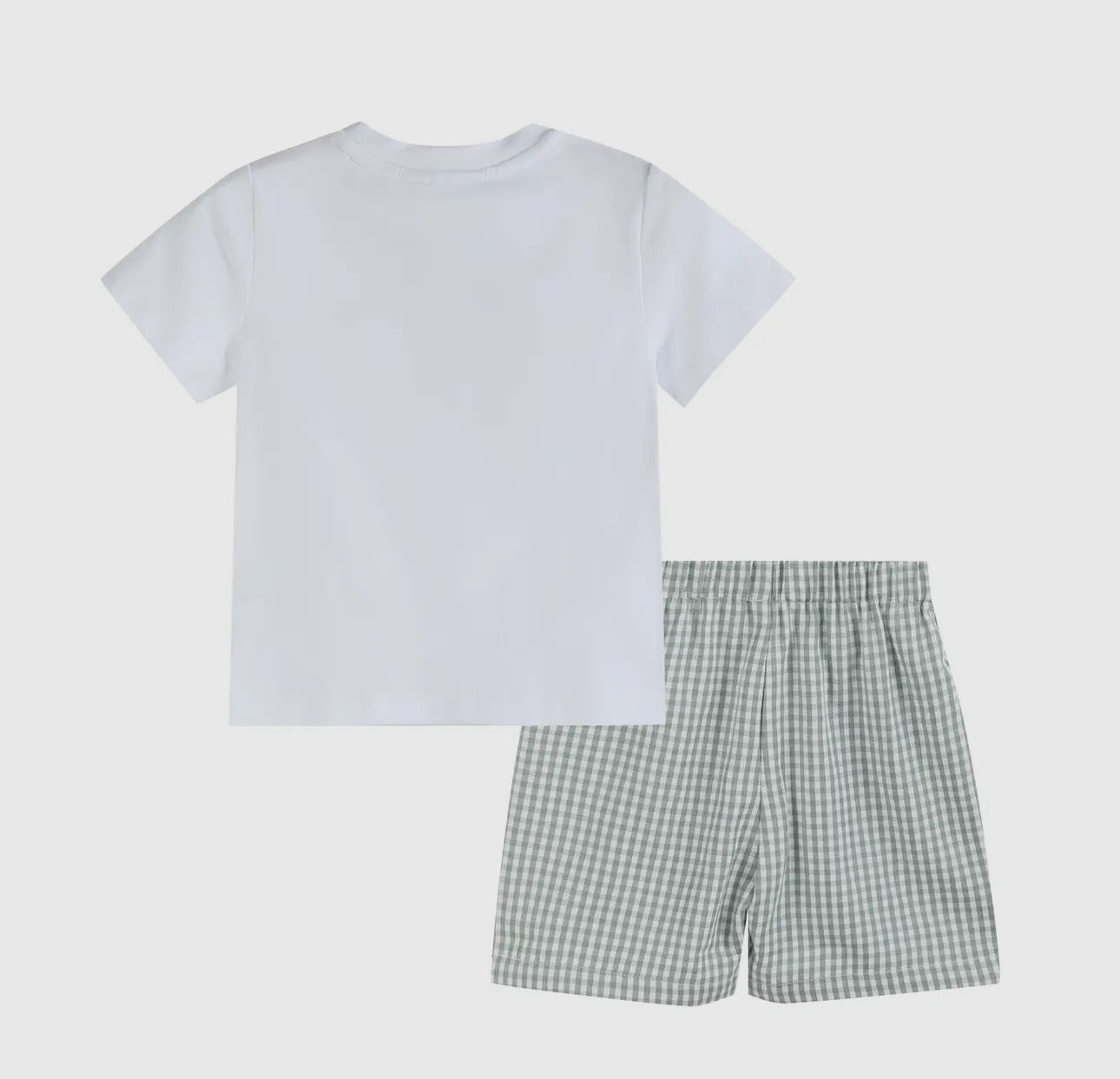 White Dinosaur Smocked Tee and Green Gingham Short Set